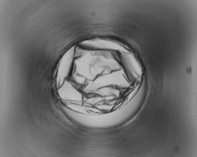 X0000112391353200909241229