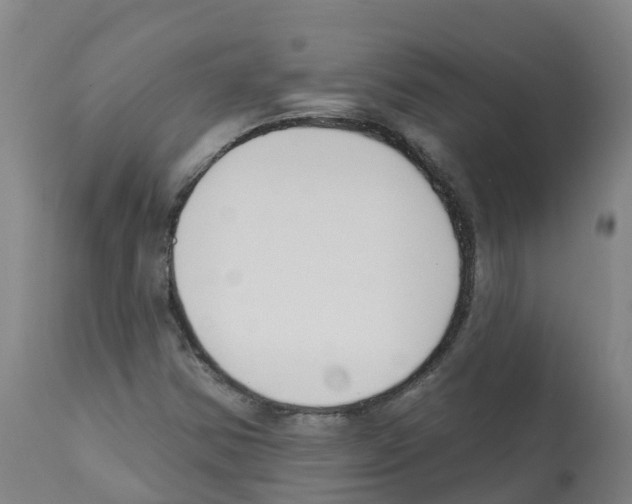 X0000112391354200909241229