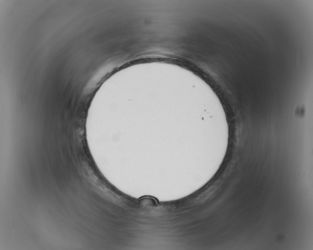 X0000112391355200909241229