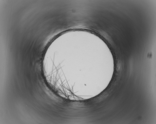 X0000112391356200909241229