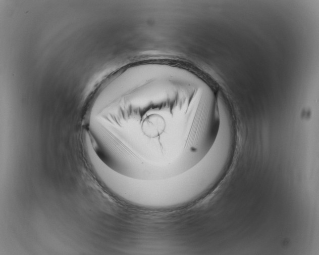 X0000112391357200909241229