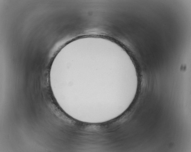 X0000112391358200909241229