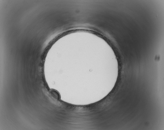 X0000112391360200909241228