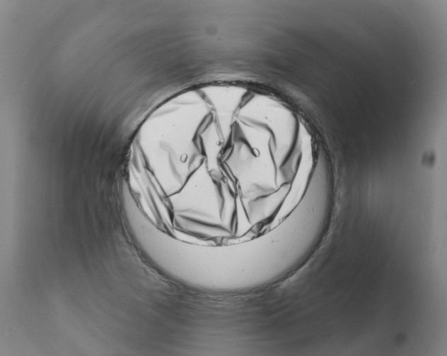 X0000112391361200909241228
