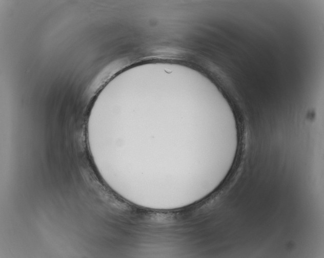 X0000112391362200909241228