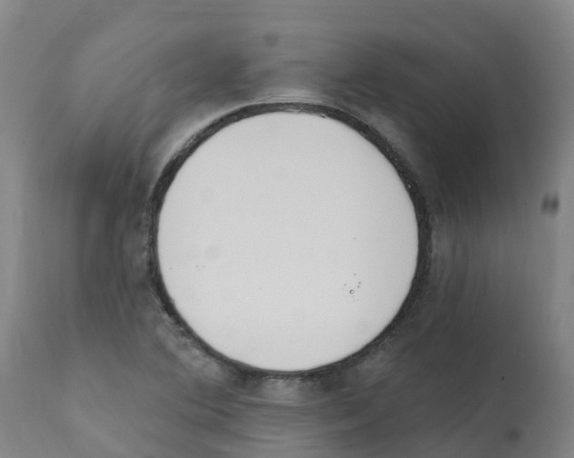 X0000112391364200909241228