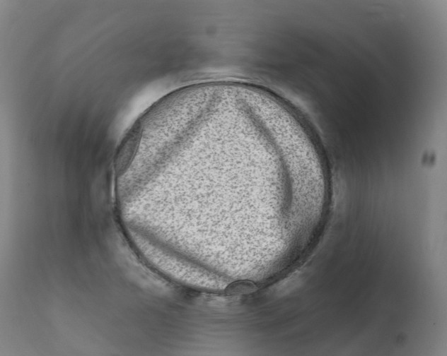 X0000112391365200909241228
