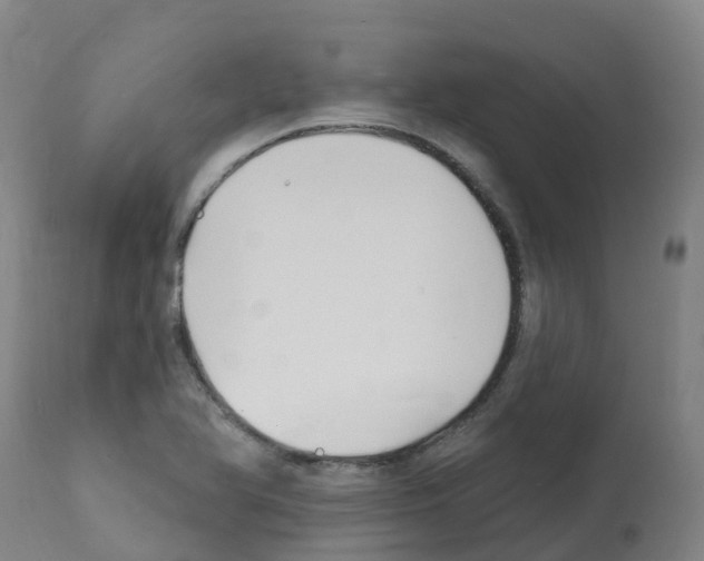 X0000112391366200909241228