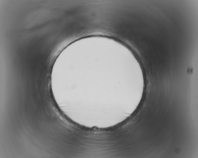 X0000112391367200909241228