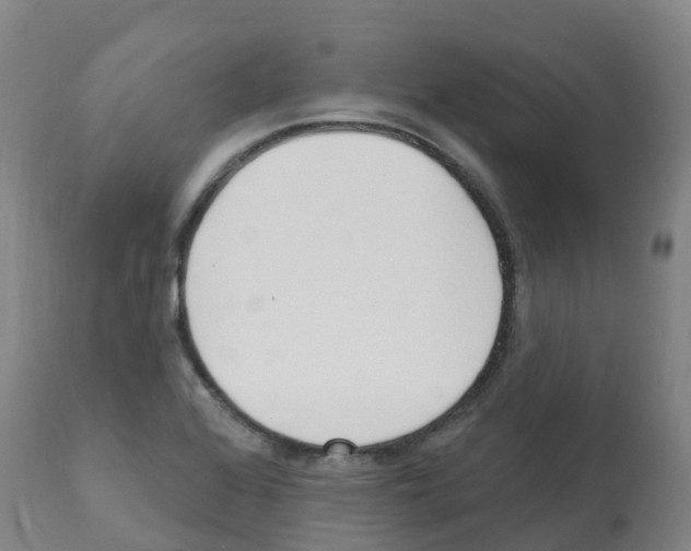 X0000112391368200909241228