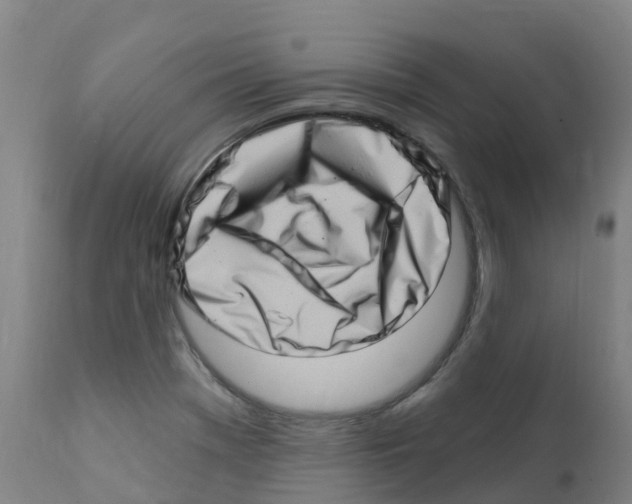 X0000112391369200909241228