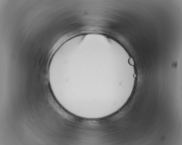 X0000112391370200909241228