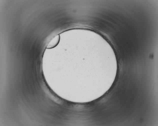 X0000112391371200909241228