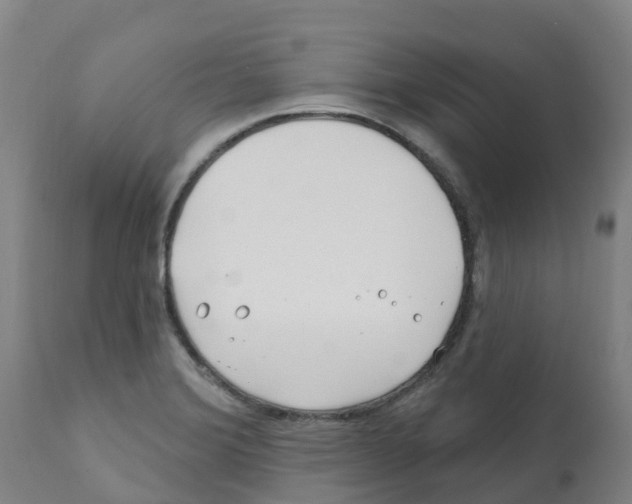 X0000112391372200909241228