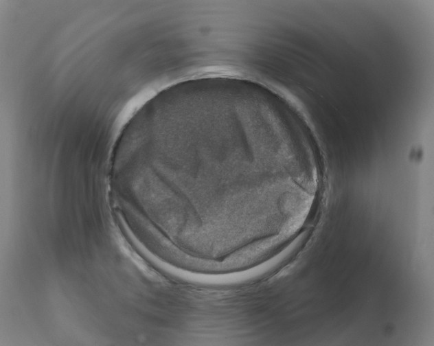 X0000112391373200909241228
