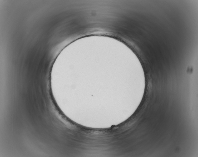 X0000112391375200909241228