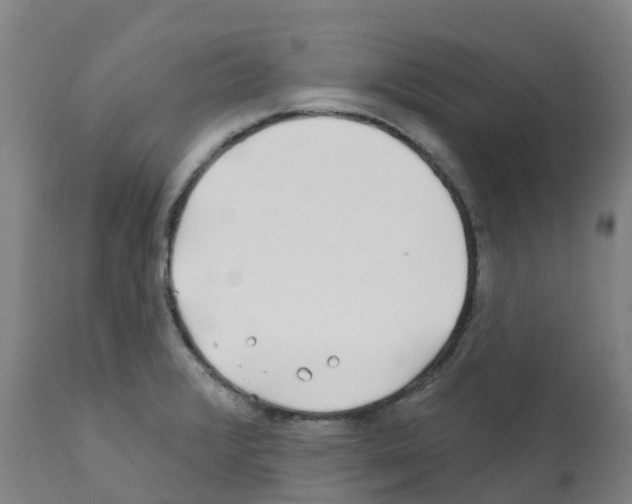 X0000112391376200909241228