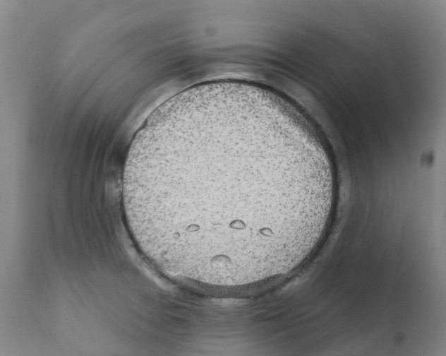 X0000112391377200909241228