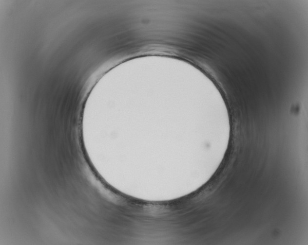 X0000112391379200909241228