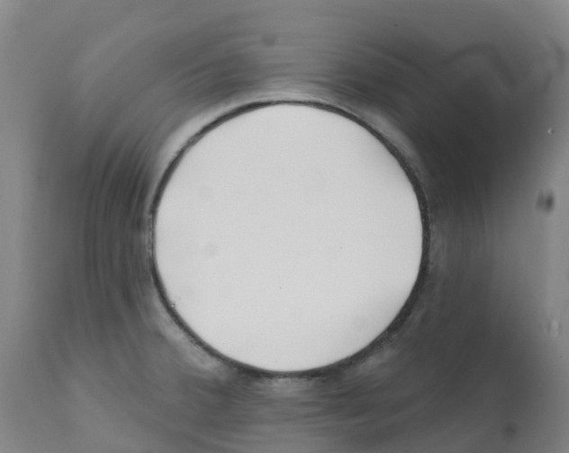 X0000112391380200909241228