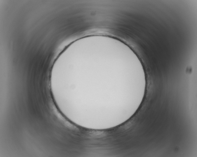 X0000112391382200909241228