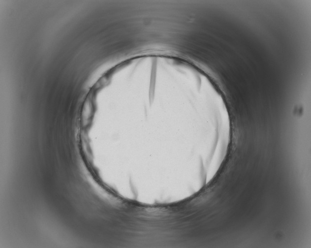 X0000112391383200909241228