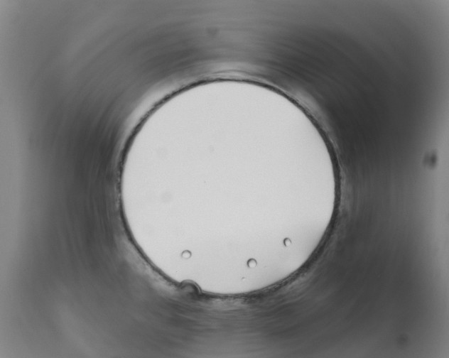 X0000112391384200909241228