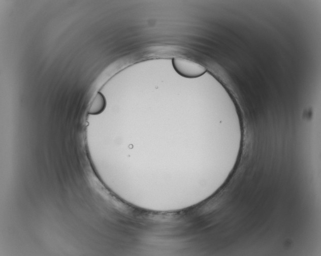 X0000112391386200909241228