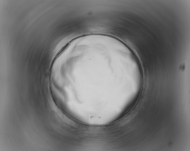 X0000112391389200909241228