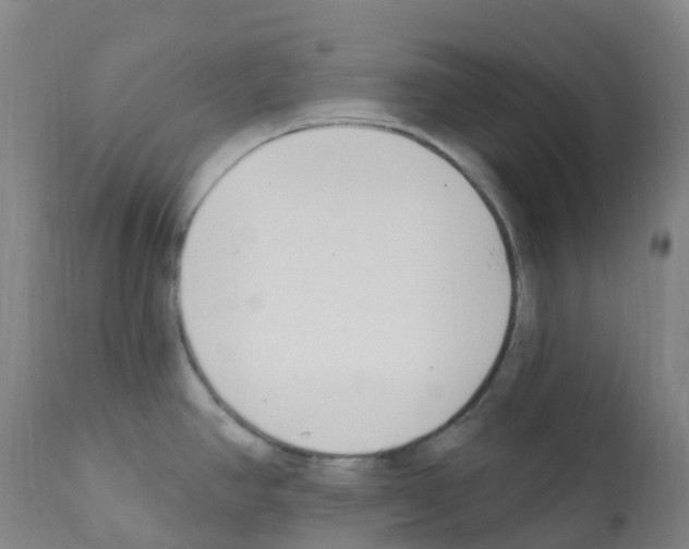 X0000112391390200909241228