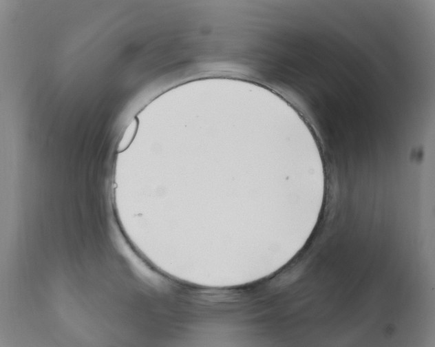 X0000112391391200909241228