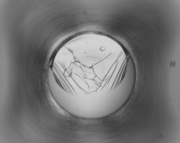 X0000112391392200909241228