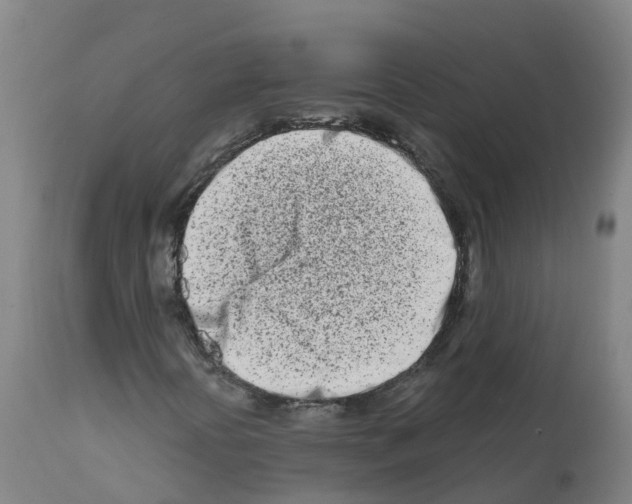 X0000112391394200909241227