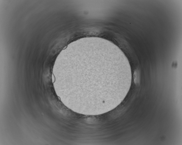 X0000112391395200909241227