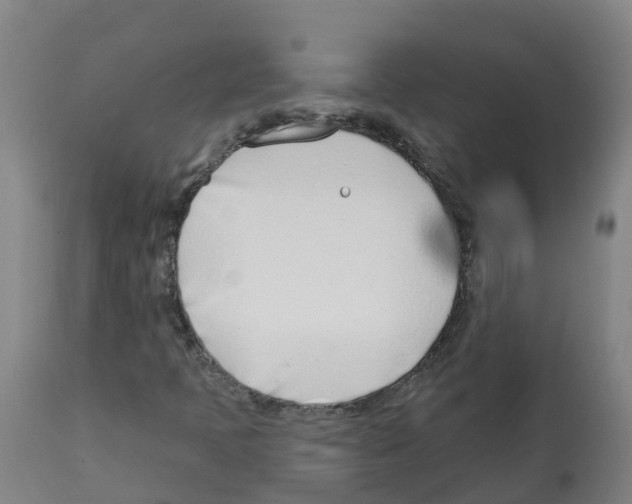 X0000112391397200909241227