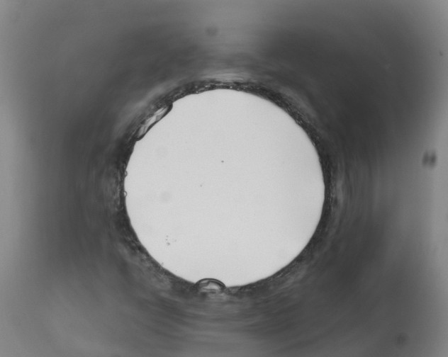 X0000112391398200909241227
