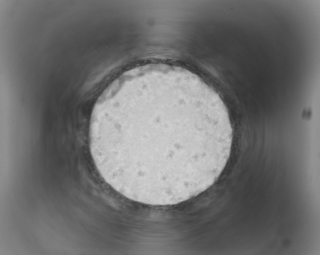 X0000112391399200909241227