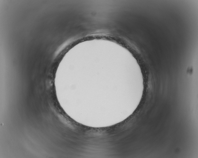 X0000112391400200909241227