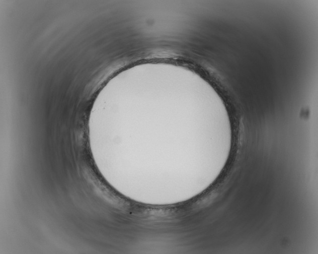 X0000112391401200909241227