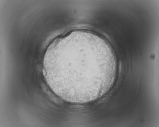 X0000112391405200909241227
