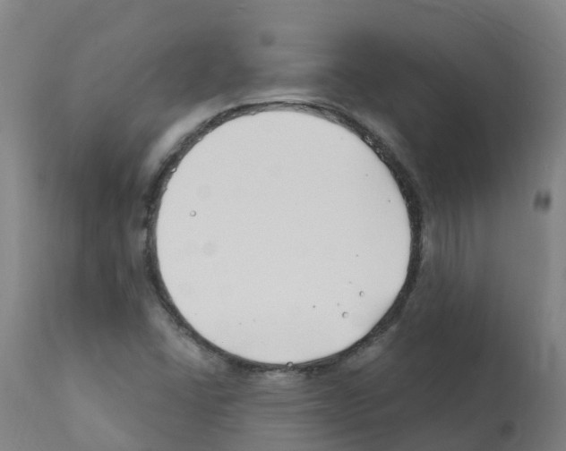 X0000112391406200909241227