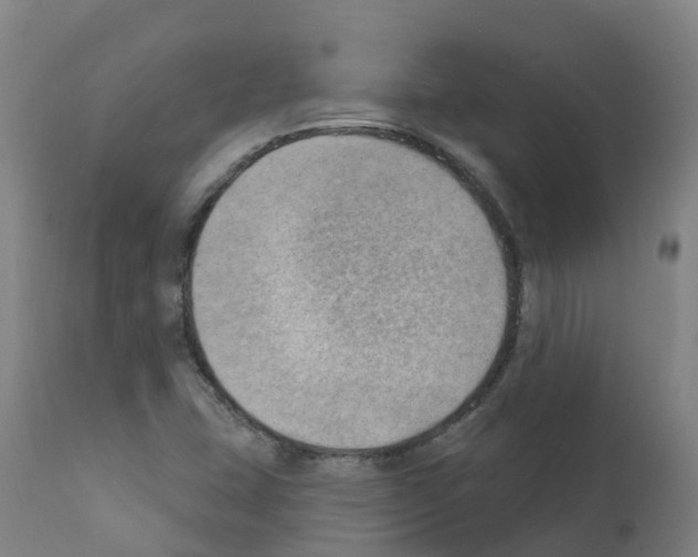 X0000112391407200909241227
