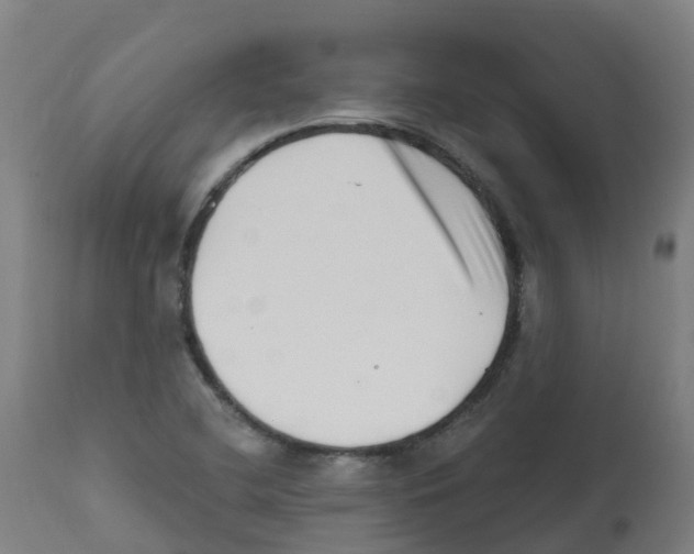 X0000112391412200909241227
