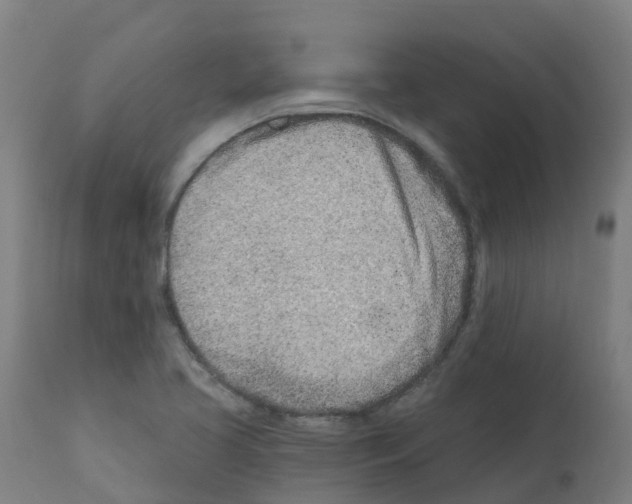 X0000112391413200909241227