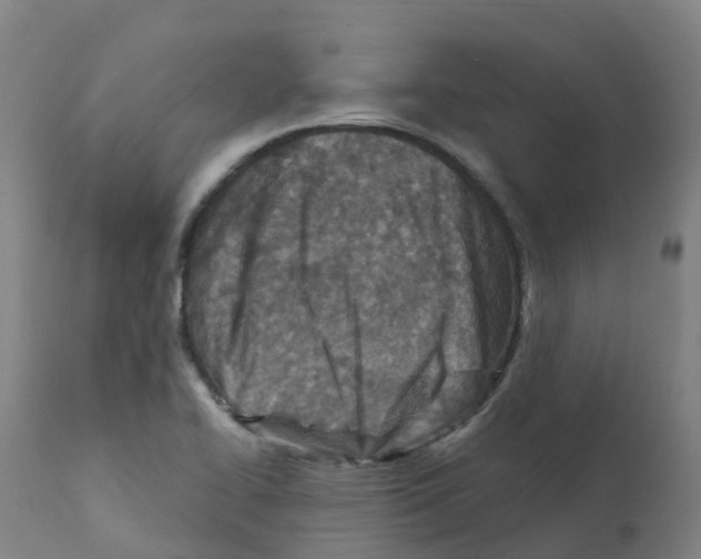 X0000112391414200909241227