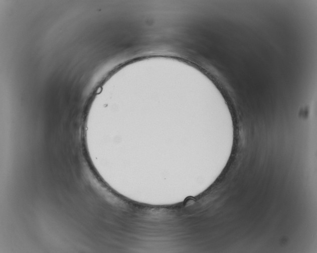 X0000112391416200909241227