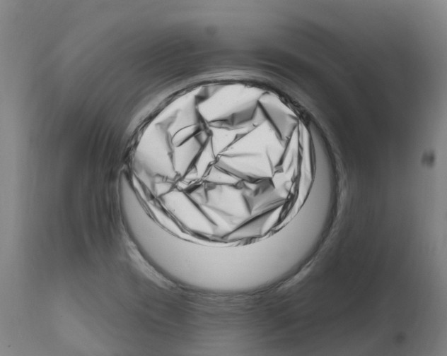 X0000112391417200909241227