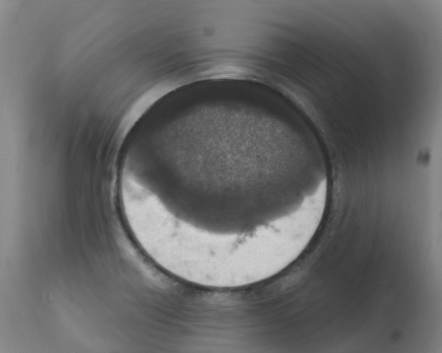 X0000112391418200909241227