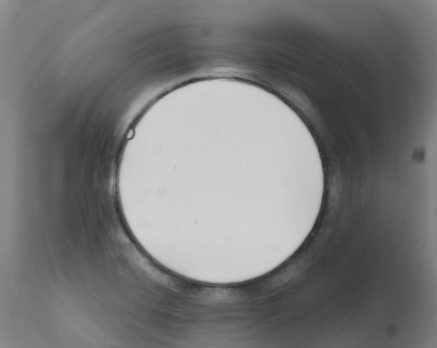 X0000112391420200909241227