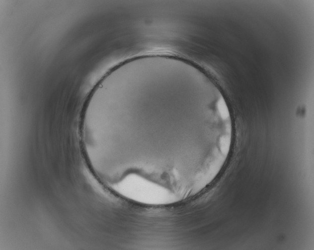 X0000112391422200909241227